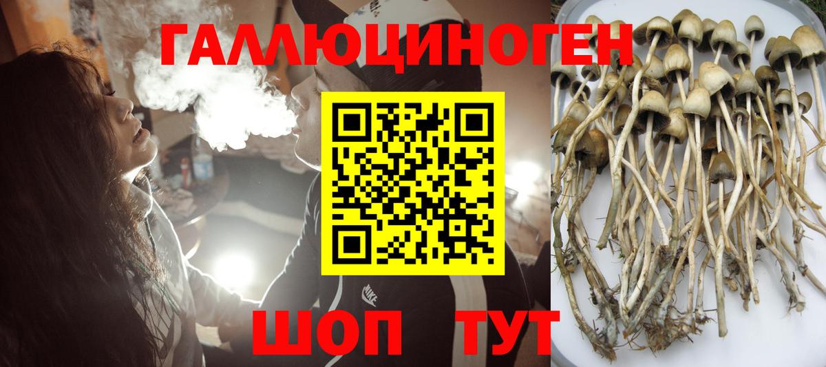 Псилоцибиновые грибы Psilocybine cubensis  Вход с VPN  Анжеро-Судженск 